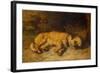 A Border Terrier Puppy, 1884 (Oil on Canvas)-Philip Eustace Stretton-Framed Giclee Print