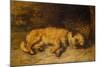 A Border Terrier Puppy, 1884 (Oil on Canvas)-Philip Eustace Stretton-Mounted Giclee Print
