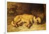 A Border Terrier Puppy-Philip Eustace Stretton-Framed Giclee Print