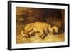 A Border Terrier Puppy-Philip Eustace Stretton-Framed Giclee Print