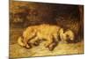 A Border Terrier Puppy-Philip Eustace Stretton-Mounted Giclee Print