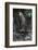 A Bornean Bearded Pig (Sus Barbatus)-Craig Lovell-Framed Photographic Print