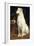 A Borzoi by a Chair-St. George Hare-Framed Giclee Print