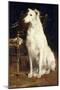 A Borzoi by a Chair-St. George Hare-Mounted Giclee Print