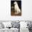 A Borzoi by a Chair-St. George Hare-Giclee Print displayed on a wall