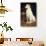 A Borzoi by a Chair-St. George Hare-Giclee Print displayed on a wall