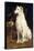 A Borzoi by a Chair-St. George Hare-Framed Stretched Canvas