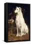 A Borzoi by a Chair-St. George Hare-Framed Stretched Canvas