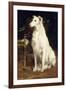 A Borzoi by a Chair-St. George Hare-Framed Giclee Print