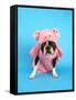 A Boston Terrier In A Pig Costume-graphicphoto-Framed Stretched Canvas