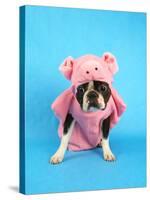 A Boston Terrier In A Pig Costume-graphicphoto-Stretched Canvas