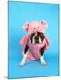 A Boston Terrier In A Pig Costume-graphicphoto-Mounted Photographic Print