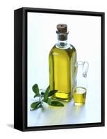 A Bottle and a Carafe of Olive Oil with an Olive Sprig-Alena Hrbkova-Framed Stretched Canvas