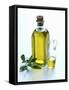 A Bottle and a Carafe of Olive Oil with an Olive Sprig-Alena Hrbkova-Framed Stretched Canvas