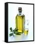 A Bottle and a Carafe of Olive Oil with an Olive Sprig-Alena Hrbkova-Framed Stretched Canvas
