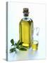 A Bottle and a Carafe of Olive Oil with an Olive Sprig-Alena Hrbkova-Stretched Canvas
