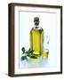 A Bottle and a Carafe of Olive Oil with an Olive Sprig-Alena Hrbkova-Framed Photographic Print