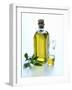 A Bottle and a Carafe of Olive Oil with an Olive Sprig-Alena Hrbkova-Framed Photographic Print