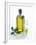 A Bottle and a Carafe of Olive Oil with an Olive Sprig-Alena Hrbkova-Framed Photographic Print