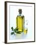 A Bottle and a Carafe of Olive Oil with an Olive Sprig-Alena Hrbkova-Framed Photographic Print