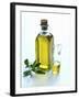 A Bottle and a Carafe of Olive Oil with an Olive Sprig-Alena Hrbkova-Framed Photographic Print