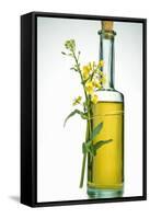 A Bottle of Rapeseed Oil with Flowers-Bodo A^ Schieren-Framed Stretched Canvas