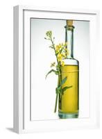 A Bottle of Rapeseed Oil with Flowers-Bodo A^ Schieren-Framed Photographic Print