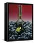 A Bottle of Red Wine with Black Grapes-Vladimir Shulevsky-Framed Stretched Canvas