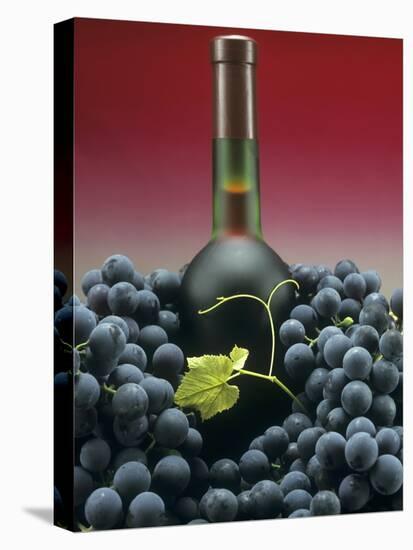 A Bottle of Red Wine with Black Grapes-Vladimir Shulevsky-Stretched Canvas