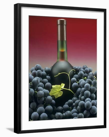 A Bottle of Red Wine with Black Grapes-Vladimir Shulevsky-Framed Photographic Print