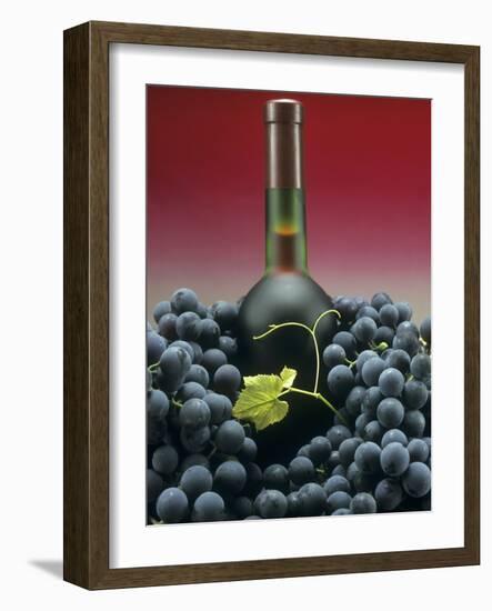 A Bottle of Red Wine with Black Grapes-Vladimir Shulevsky-Framed Photographic Print