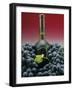 A Bottle of Red Wine with Black Grapes-Vladimir Shulevsky-Framed Photographic Print