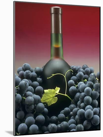 A Bottle of Red Wine with Black Grapes-Vladimir Shulevsky-Mounted Photographic Print