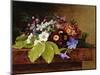 A Bouquet of Apple and Cherry Blossoms, and Primula-Johan Laurentz Jensen-Mounted Giclee Print