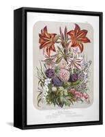 A Bouquet Of Flowers Including Lilies-Elisa Champin-Framed Stretched Canvas