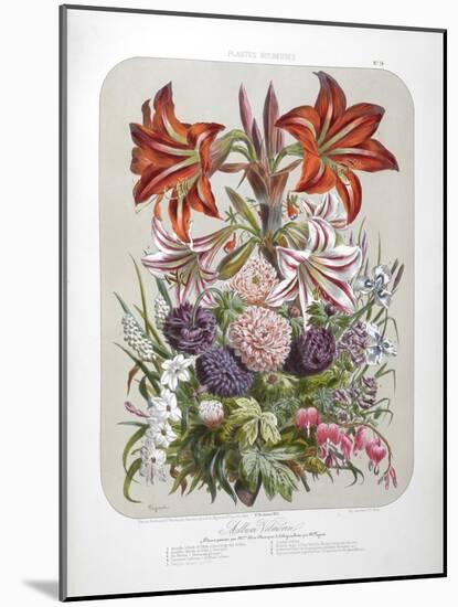 A Bouquet Of Flowers Including Lilies-Elisa Champin-Mounted Giclee Print