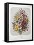 A Bouquet Of Flowers-Elisa Champin-Framed Stretched Canvas