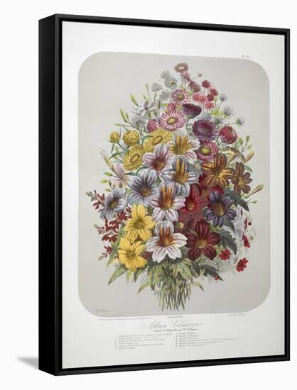 A Bouquet Of Flowers-Elisa Champin-Framed Stretched Canvas