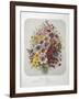 A Bouquet Of Flowers-Elisa Champin-Framed Giclee Print