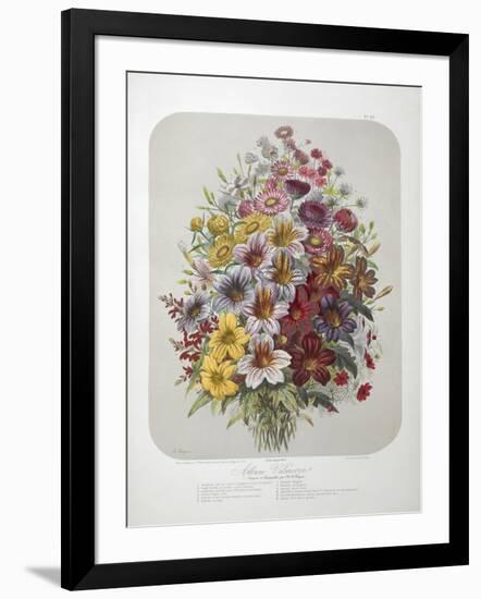 A Bouquet Of Flowers-Elisa Champin-Framed Giclee Print