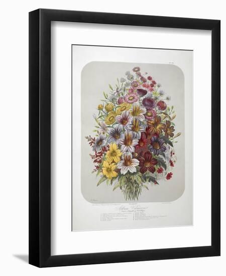 A Bouquet Of Flowers-Elisa Champin-Framed Giclee Print