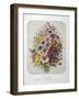 A Bouquet Of Flowers-Elisa Champin-Framed Giclee Print