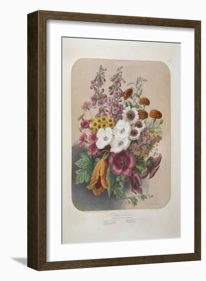 A Bouquet Of Flowers-Elisa Champin-Framed Giclee Print