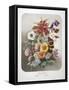 A Bouquet Of Flowers-Elisa Champin-Framed Stretched Canvas