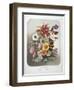 A Bouquet Of Flowers-Elisa Champin-Framed Giclee Print