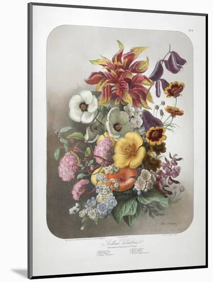 A Bouquet Of Flowers-Elisa Champin-Mounted Giclee Print