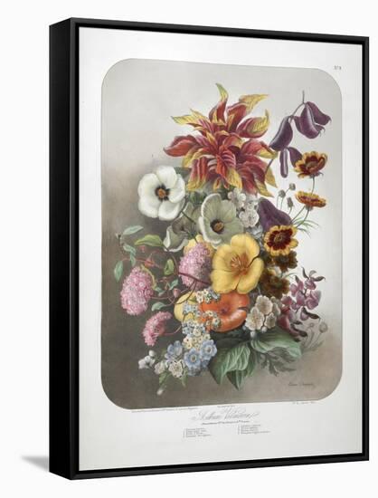 A Bouquet Of Flowers-Elisa Champin-Framed Stretched Canvas