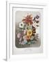 A Bouquet Of Flowers-Elisa Champin-Framed Giclee Print