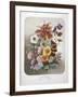 A Bouquet Of Flowers-Elisa Champin-Framed Giclee Print