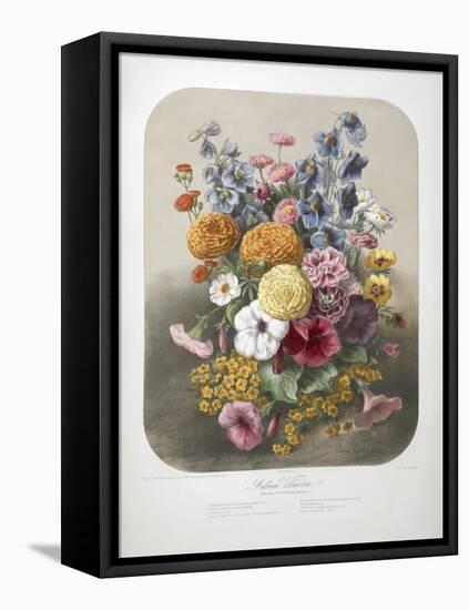 A Bouquet Of Flowers-Elisa Champin-Framed Stretched Canvas